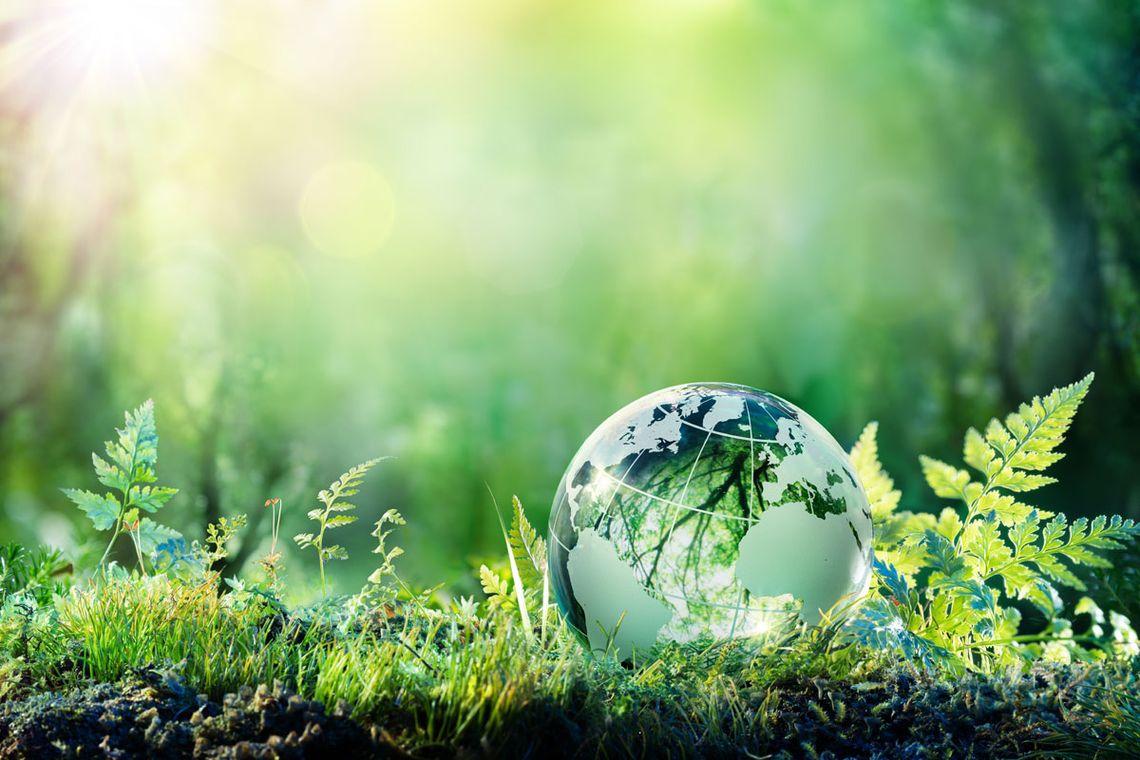 immagine green del pianeta